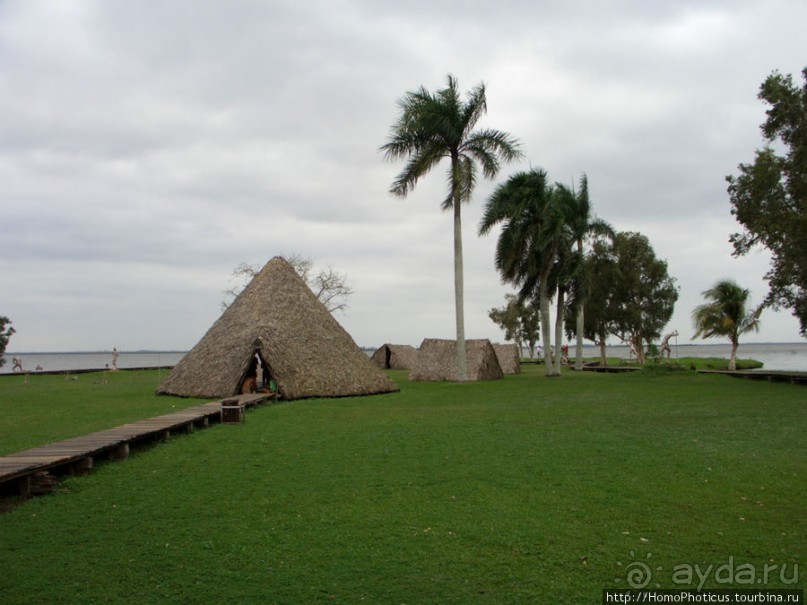 К индейцам и крокодилам