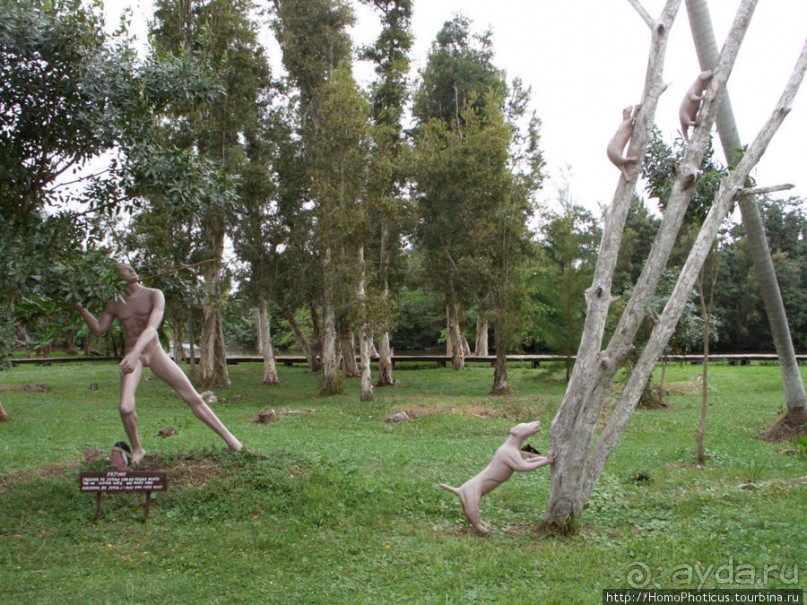 К индейцам и крокодилам