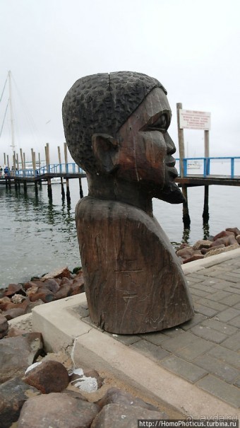 Пеликаны, тюлени, устрицы и прочая живность Китовой бухты