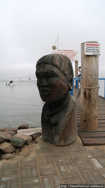 Пеликаны, тюлени, устрицы и прочая живность Китовой бухты