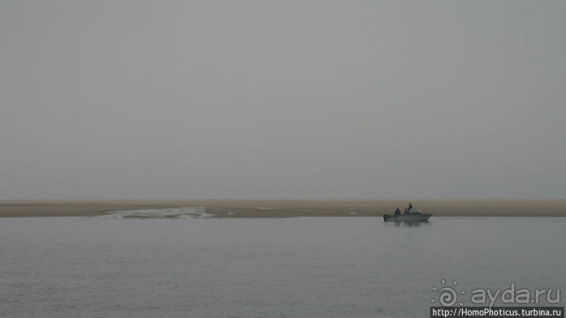 Пеликаны, тюлени, устрицы и прочая живность Китовой бухты