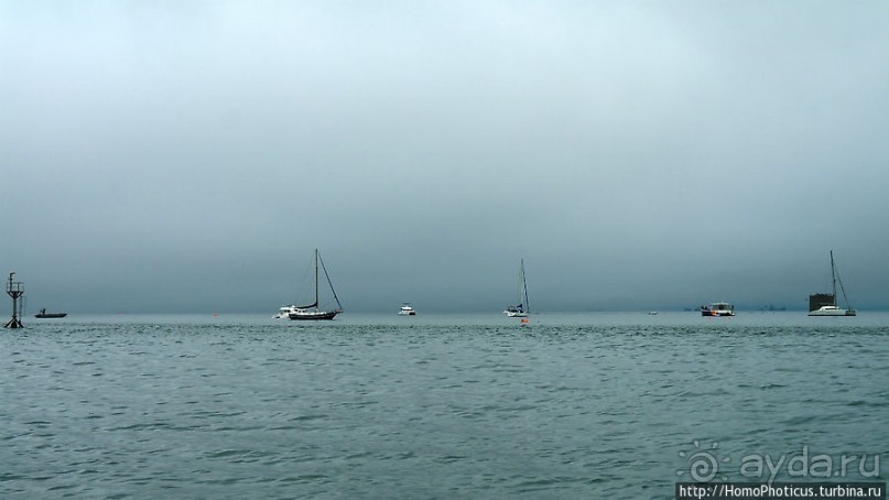 Пеликаны, тюлени, устрицы и прочая живность Китовой бухты