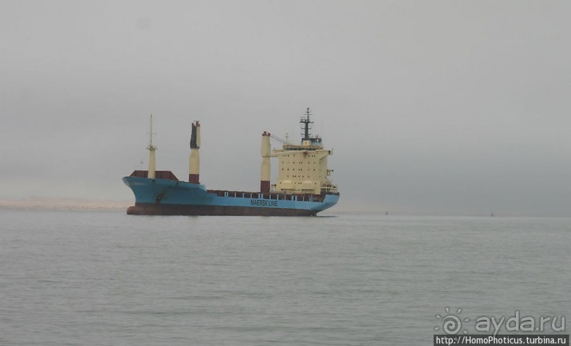 Пеликаны, тюлени, устрицы и прочая живность Китовой бухты