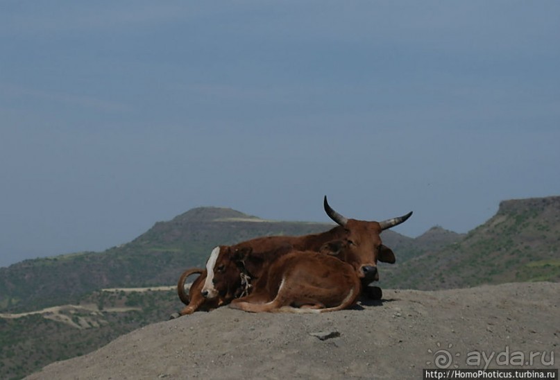В чаше Сыменских гор