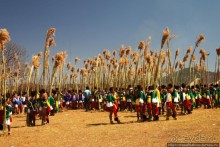 Умхланга. День VI. С тростником наперевес