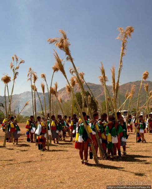 Умхланга. День VI. С тростником наперевес