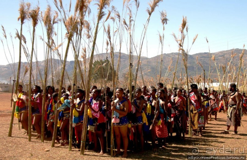Умхланга. День VI. С тростником наперевес