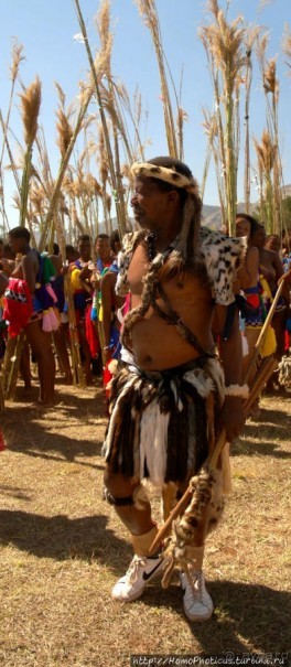 Умхланга. День VI. С тростником наперевес