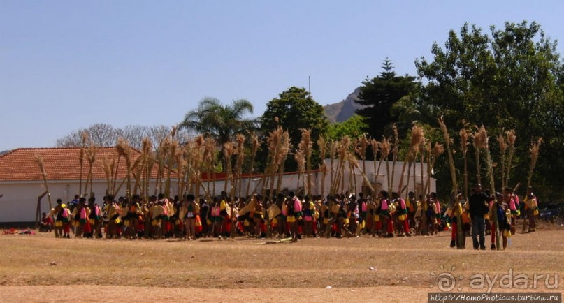 Умхланга. День VI. С тростником наперевес Умхланга. День VI. С тростником наперевес