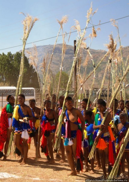 Умхланга. День VI. С тростником наперевес Умхланга. День VI. С тростником наперевес