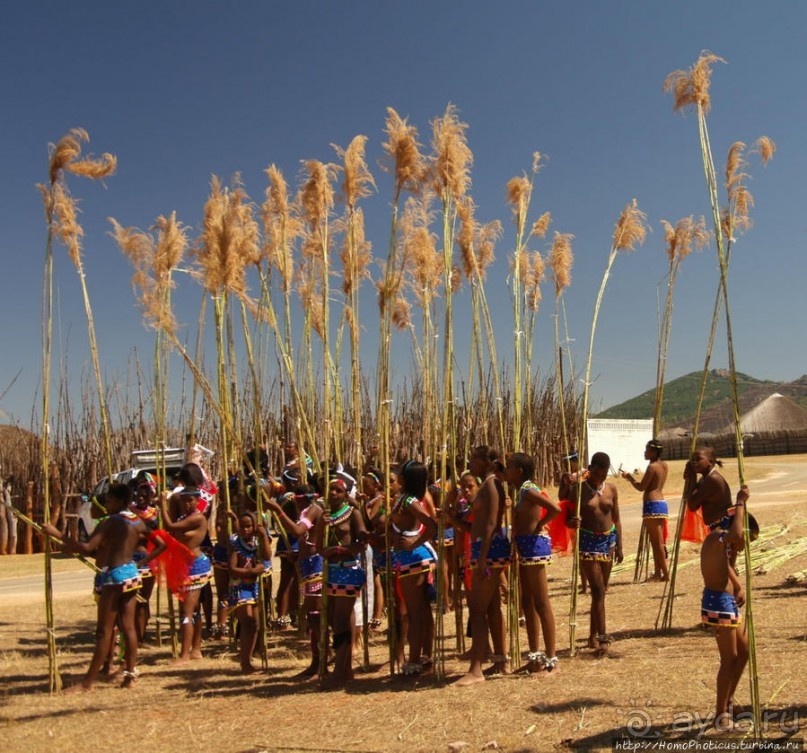 Умхланга. День VI. С тростником наперевес Умхланга. День VI. С тростником наперевес