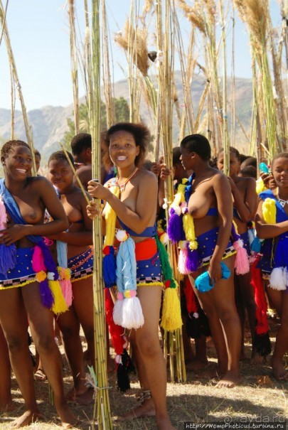 Умхланга. День VI. С тростником наперевес Умхланга. День VI. С тростником наперевес