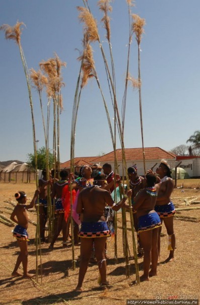 Умхланга. День VI. С тростником наперевес Умхланга. День VI. С тростником наперевес