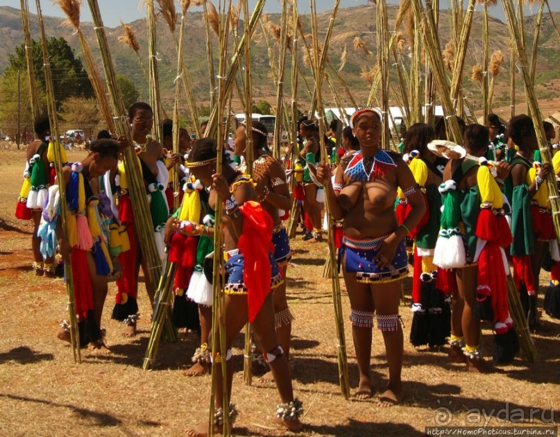 Умхланга. День VI. С тростником наперевес Умхланга. День VI. С тростником наперевес