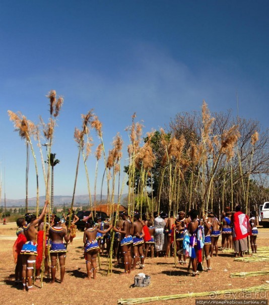 Умхланга. День VI. С тростником наперевес Умхланга. День VI. С тростником наперевес