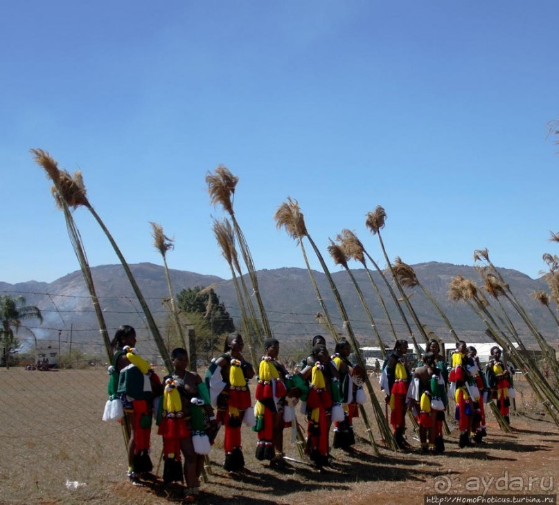 Умхланга. День VI. С тростником наперевес Умхланга. День VI. С тростником наперевес