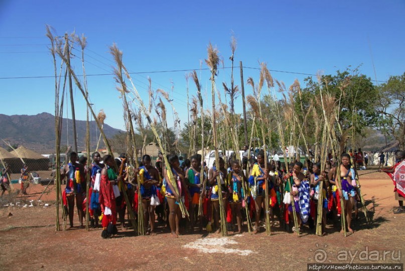 Умхланга. День VI. С тростником наперевес Умхланга. День VI. С тростником наперевес