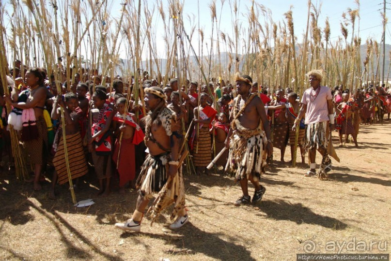 Умхланга. День VI. С тростником наперевес Умхланга. День VI. С тростником наперевес