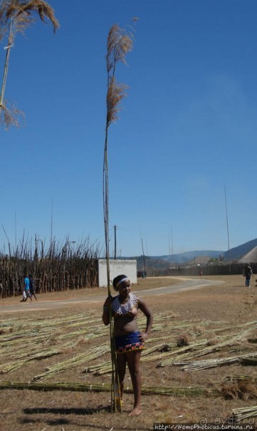 Умхланга. День VI. С тростником наперевес Умхланга. День VI. С тростником наперевес