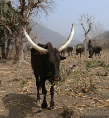 Селение кома в безбожных горах