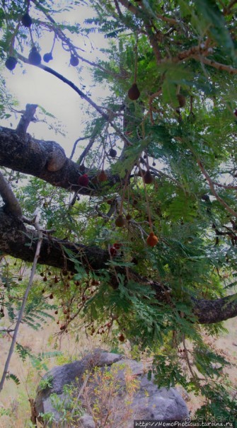 Селение кома в безбожных горах