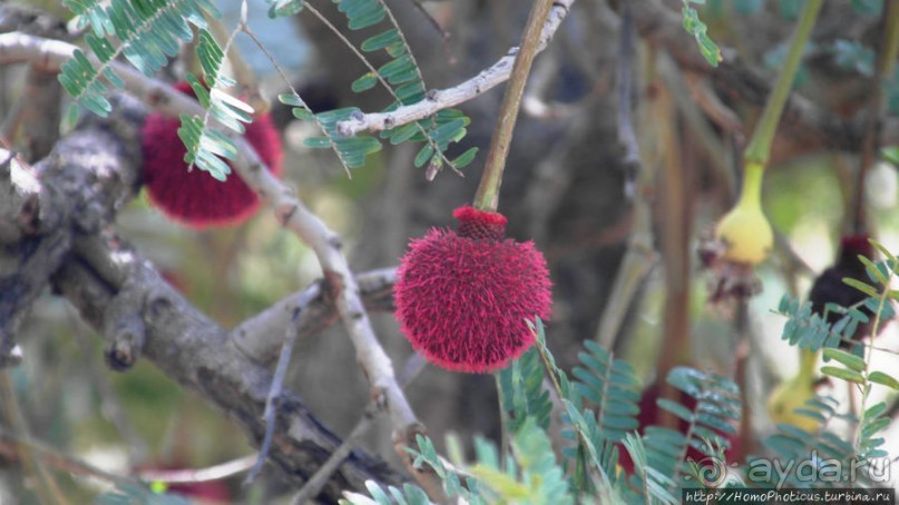 Селение кома в безбожных горах