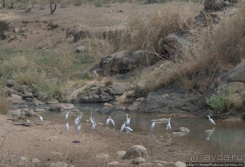 Селение кома в безбожных горах