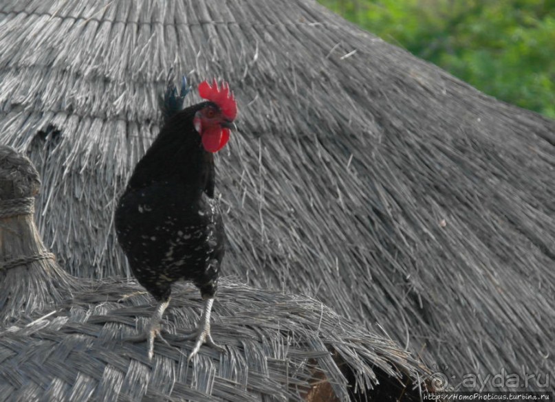 Селение кома в безбожных горах