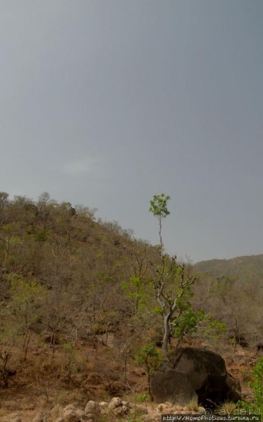 Селение кома в безбожных горах