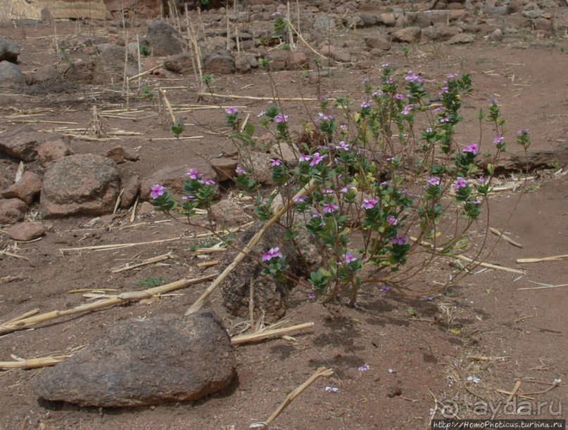 Селение кома в безбожных горах