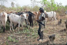 Первое знакомство с довайо. Христиане