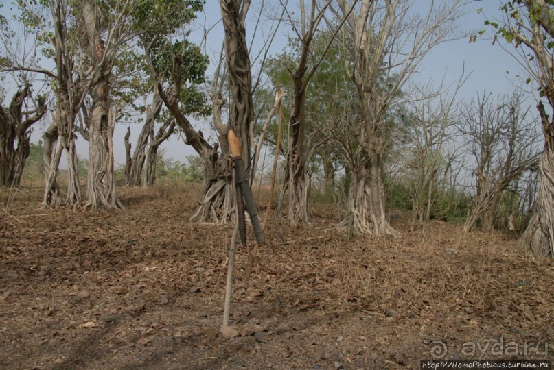 Первое знакомство с довайо. Христиане