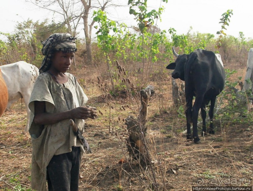 Первое знакомство с довайо. Христиане