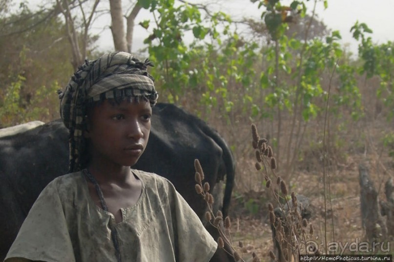 Первое знакомство с довайо. Христиане