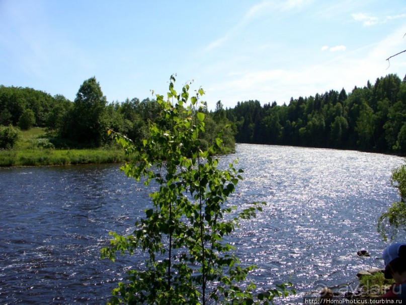 Сплав по Мсте