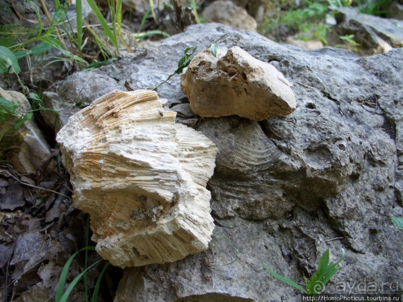 Сплав по Мсте