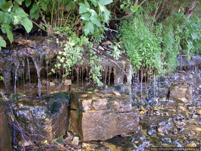 Сплав по Мсте