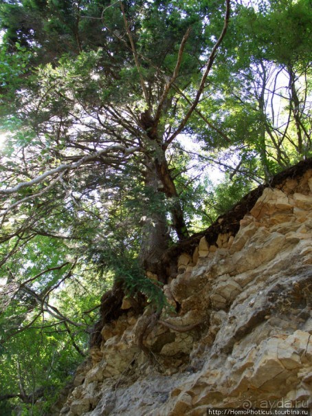 Сплав по Мсте