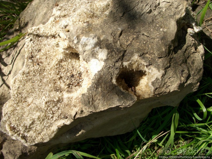 Сплав по Мсте