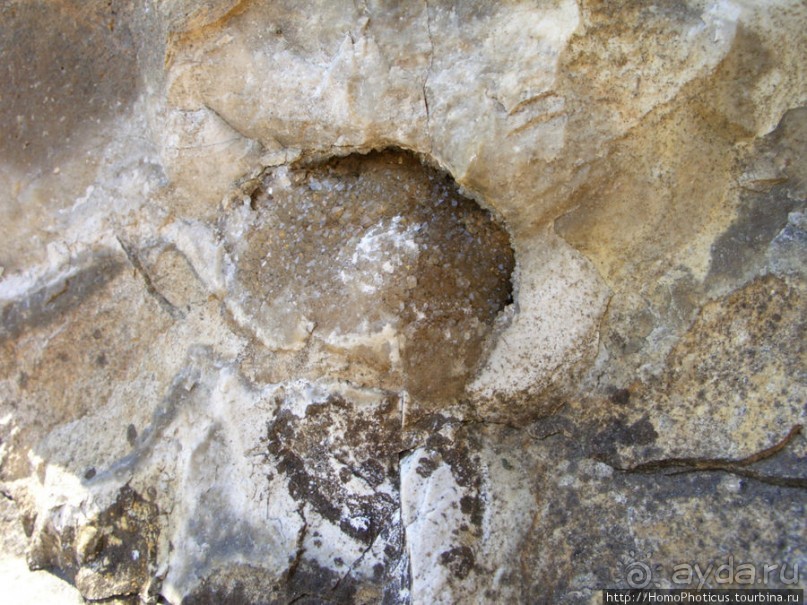 Сплав по Мсте