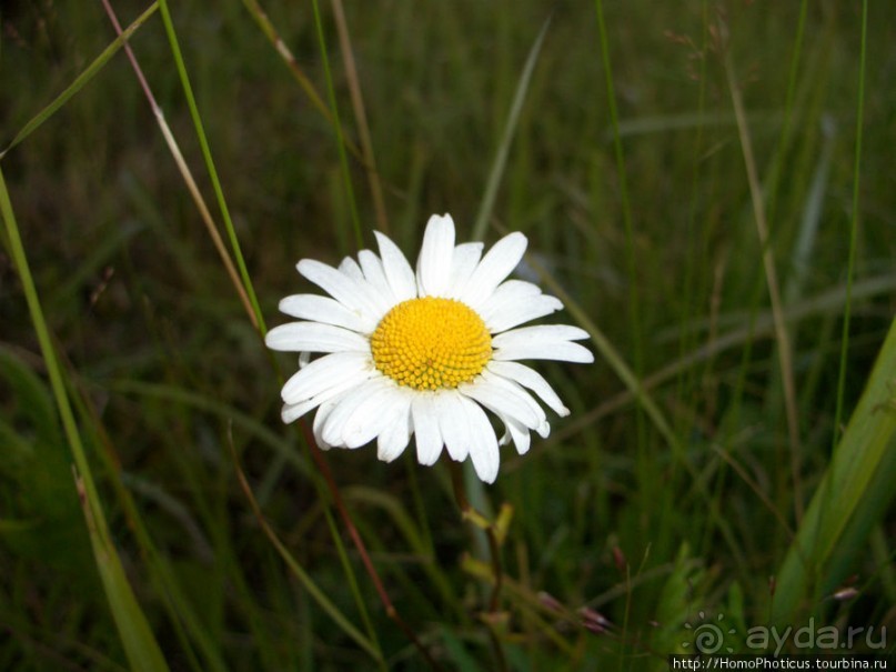 Сплав по Мсте