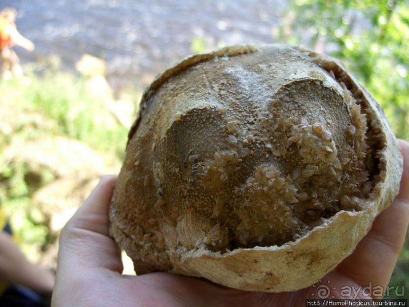 Сплав по Мсте