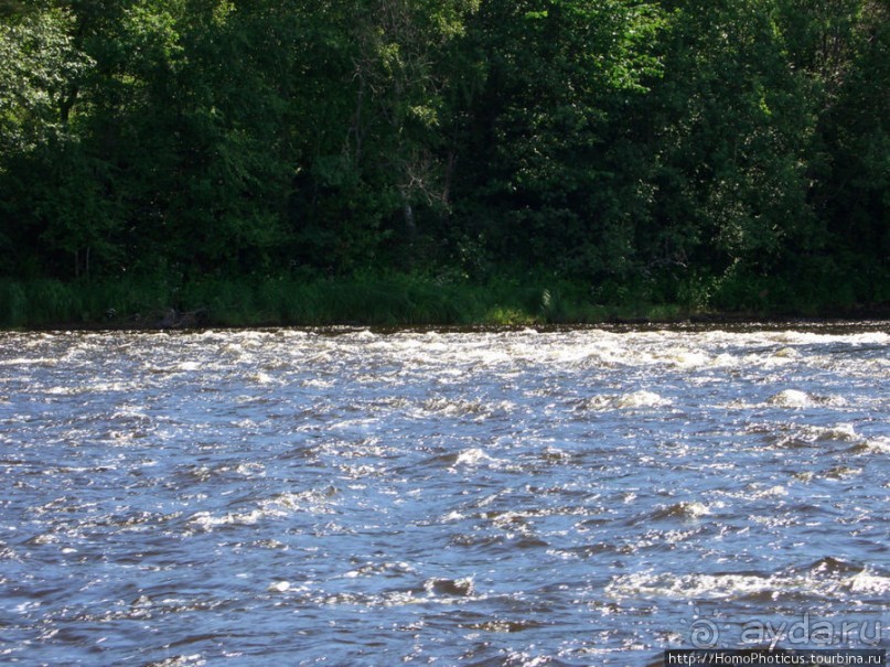 Сплав по Мсте