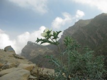 Парящий над туманной пропастью город