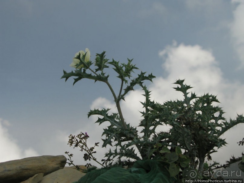 Парящий над туманной пропастью город