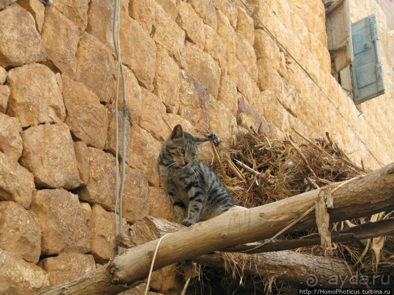 Парящий над туманной пропастью город