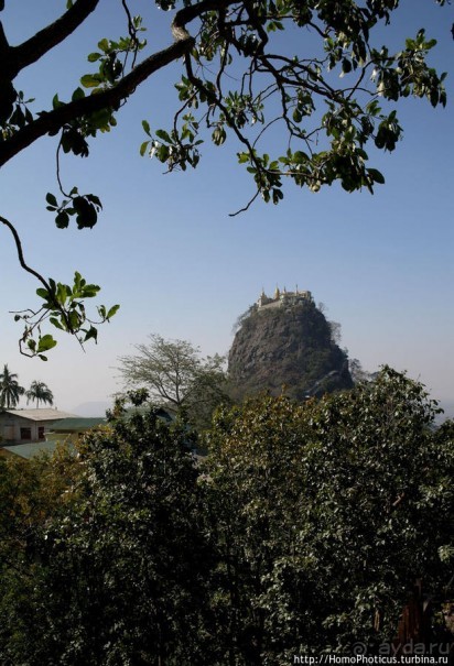 Высокая Попа