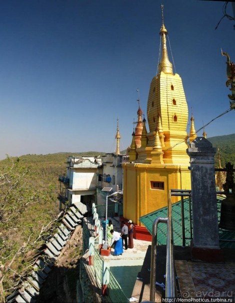 Высокая Попа