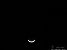 Альбом отзыва "Пляж Дийлеша, или как засадить Круизер"