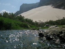 Альбом отзыва "Пляж Дийлеша, или как засадить Круизер"